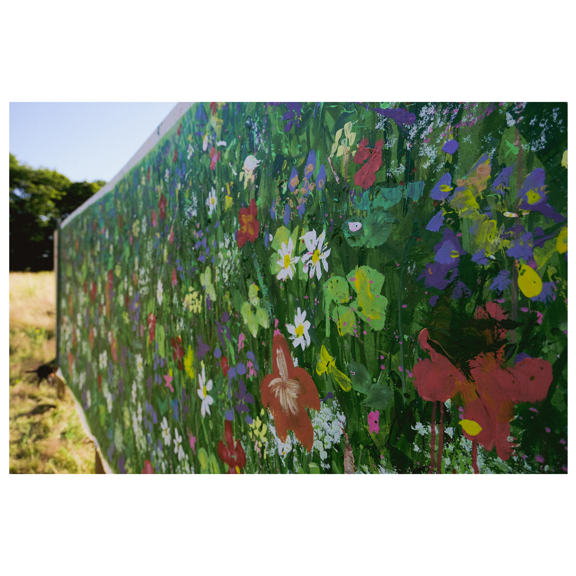 The Field - Image 5