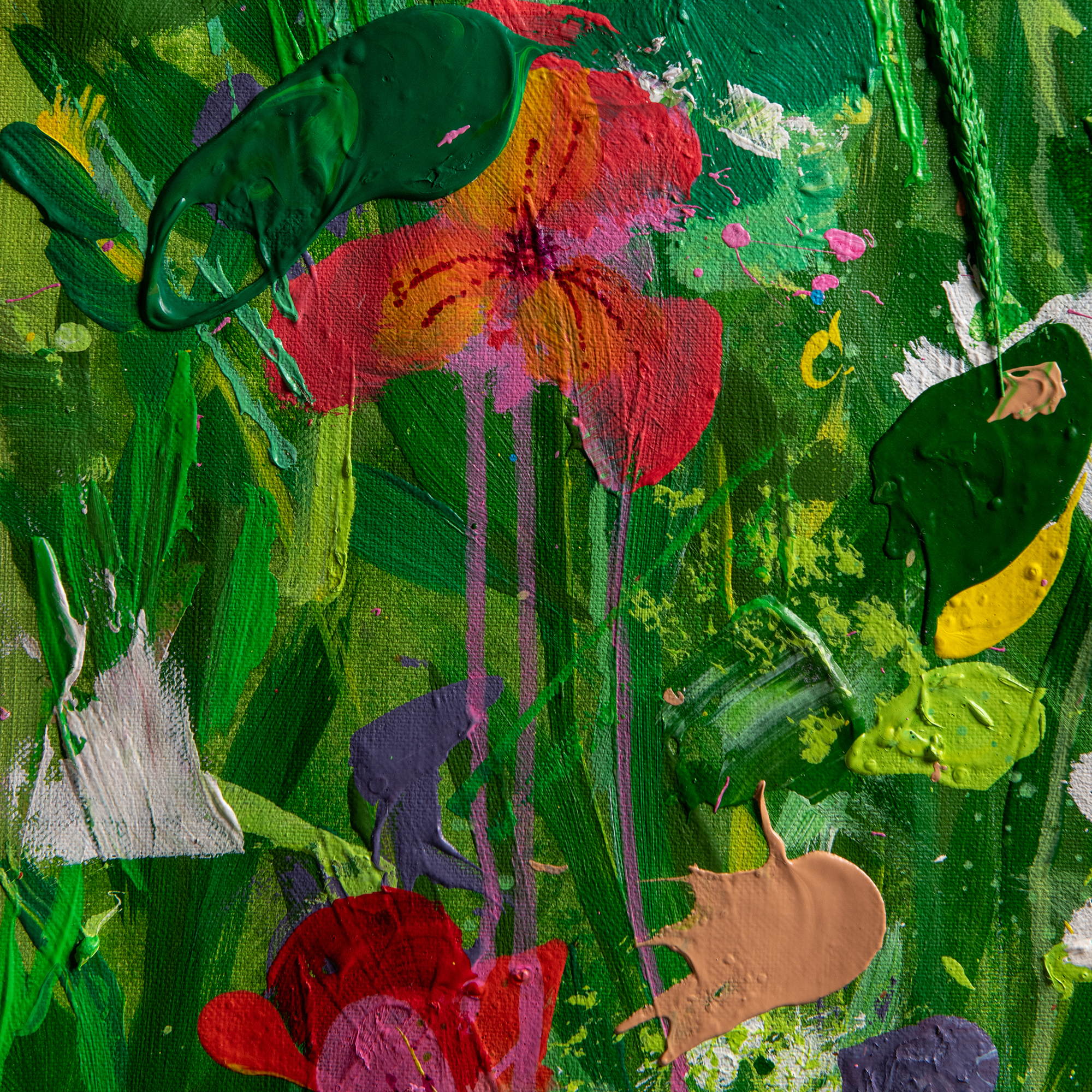 The Field - Image 2