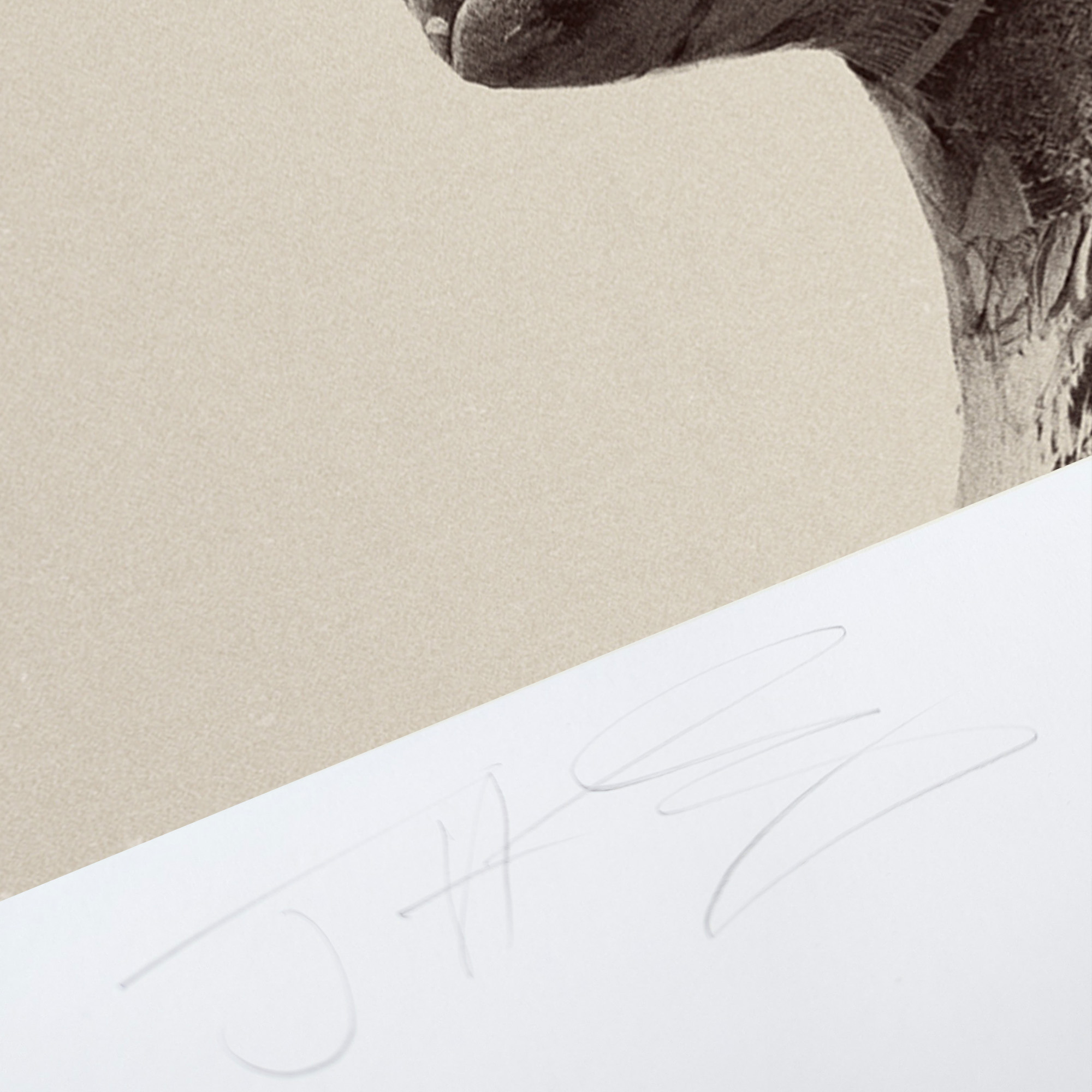 Sea Of Mirrors - Image 5